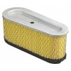 Filtr powietrza Briggs & Stratton