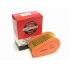 Filtr powietrza Briggs & Stratton