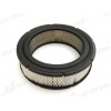 Filtr powietrza Briggs & Stratton