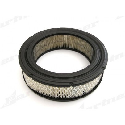 Filtr powietrza Briggs & Stratton