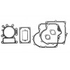 Zestaw uszczelek Briggs & Stratton 13,5-15HP Intek OHV AVS 