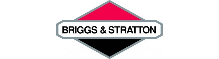 Briggs & Stratton